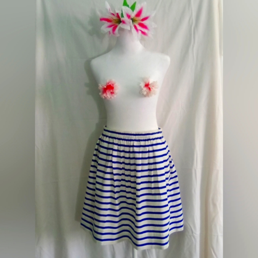 J. Crew Skirt Women's Size 4 White & Blue Stripes Pockets A Line Flowy Pre-owned